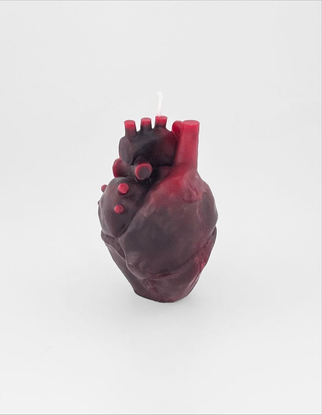 Anatomica