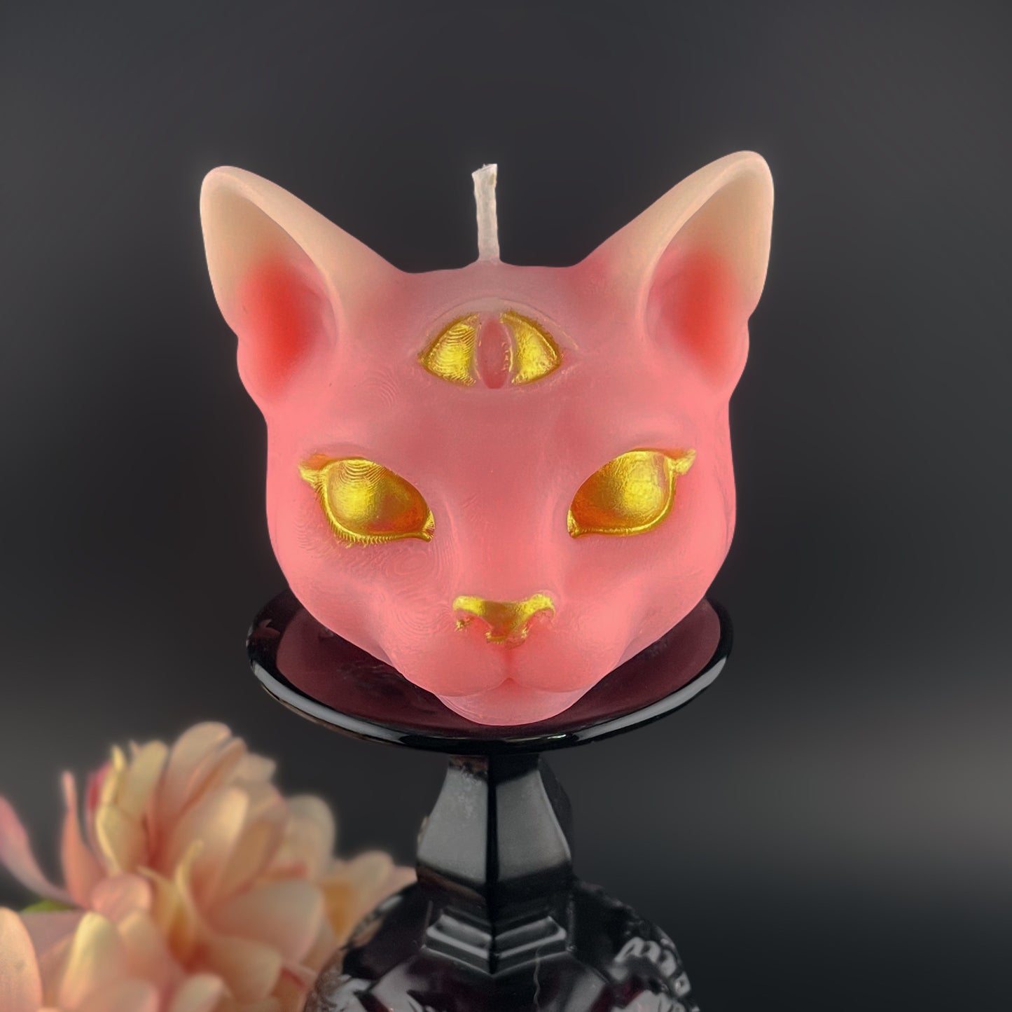 Tarot Cat