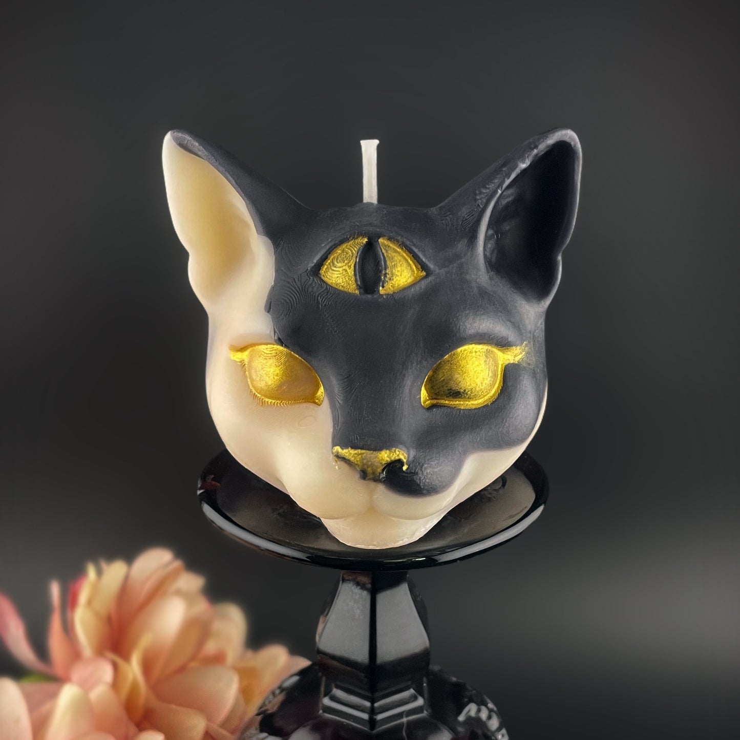 Tarot Cat
