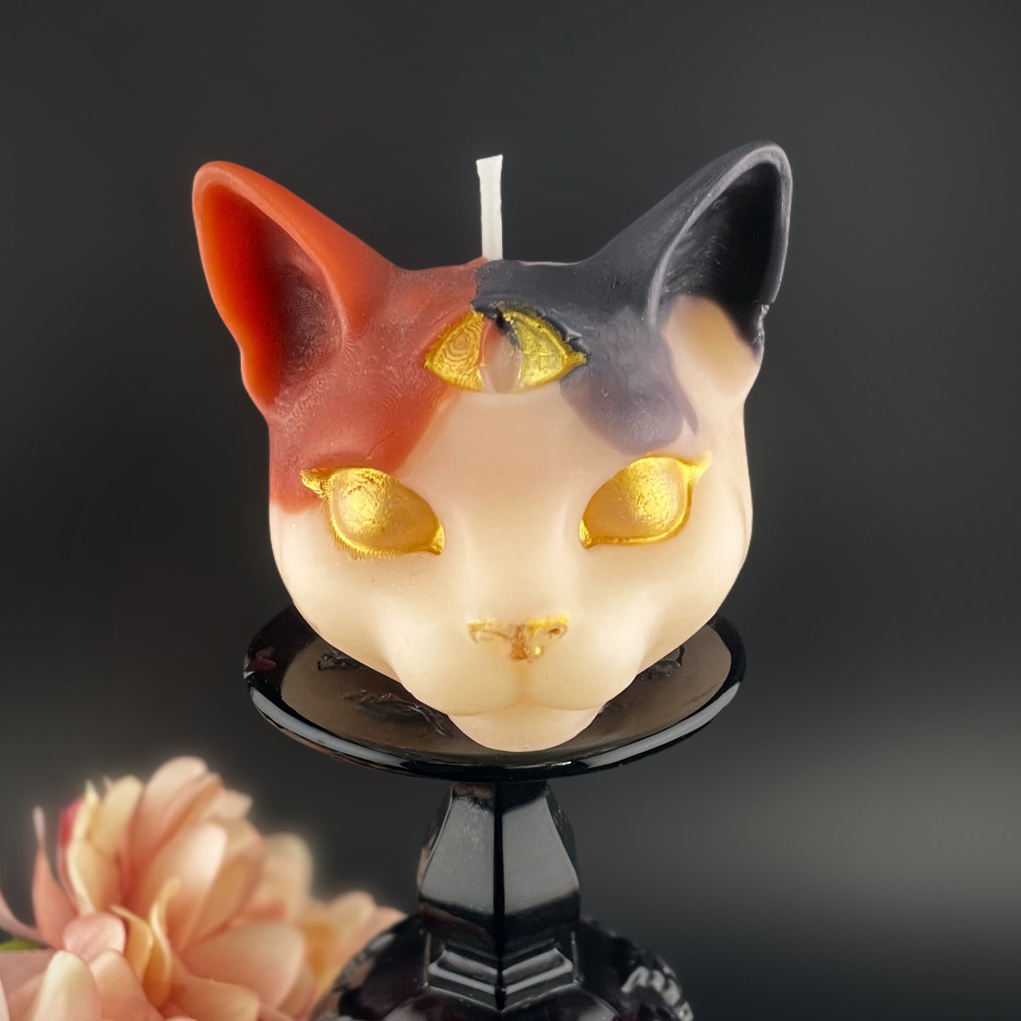Tarot Cat