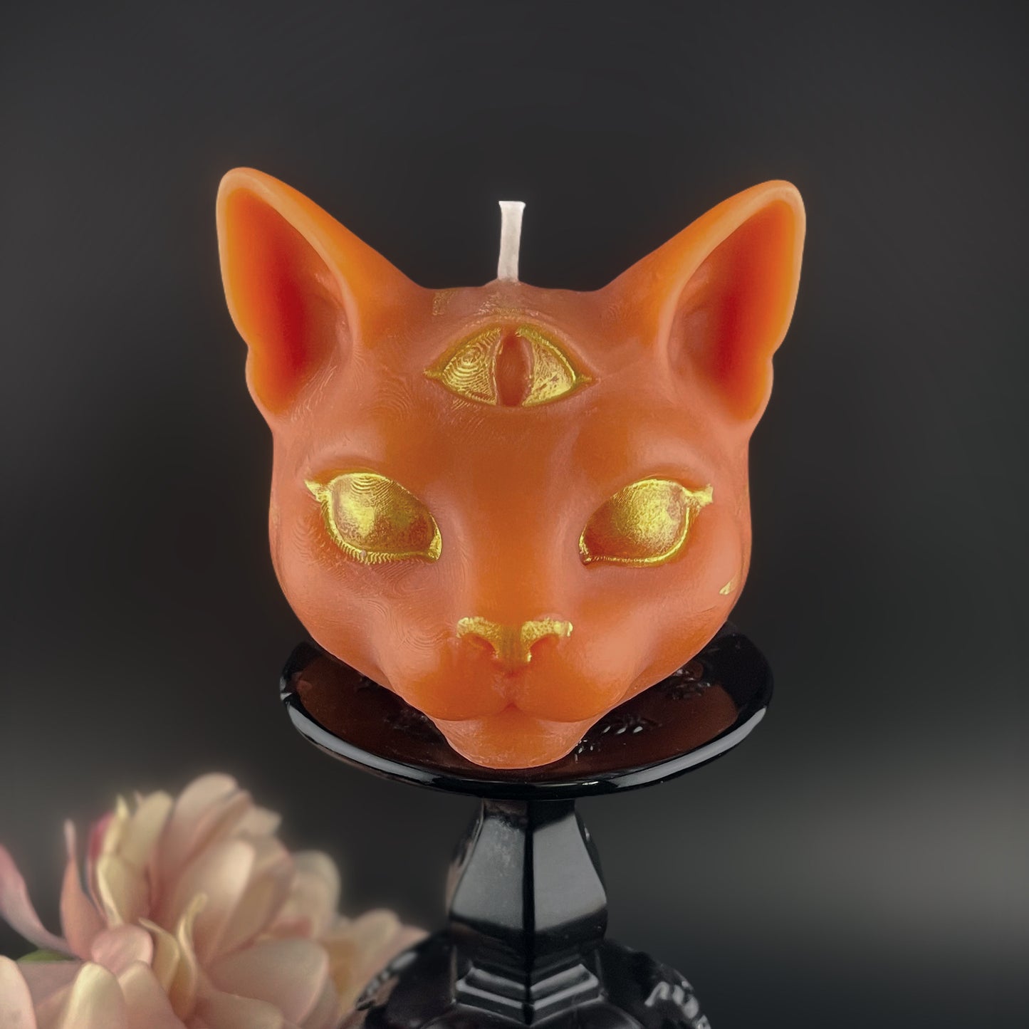 Tarot Cat