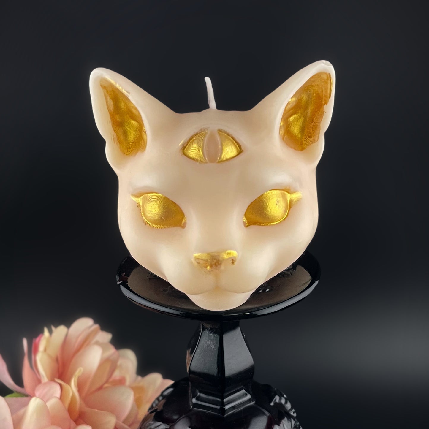 Tarot Cat