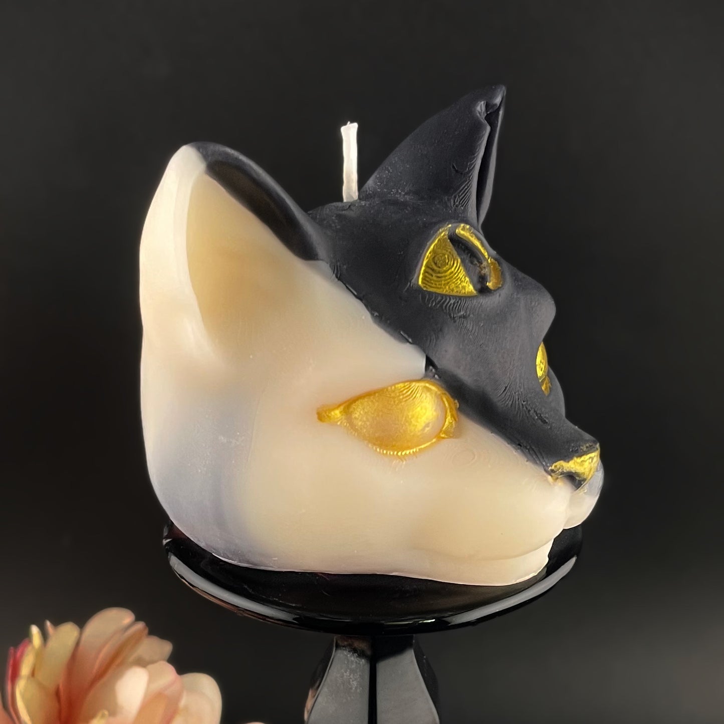 Tarot Cat