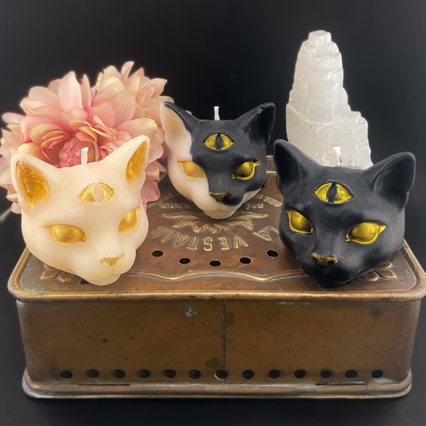 Tarot Cat